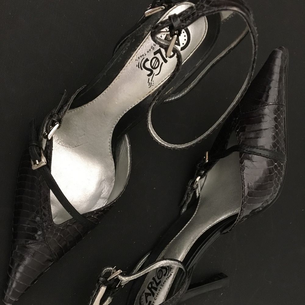 Carlos Santana Snake Skin Shoes